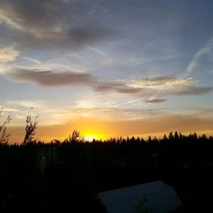 Meet your Posher, Jenessa